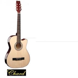 גיטרה אקוסטית מוגברת איכותית מבית C38 NAT CEHARD